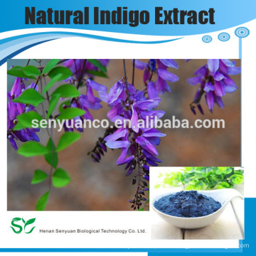 GMP factory supplier 5:1 10:1 Powder Natural Indigo Extract